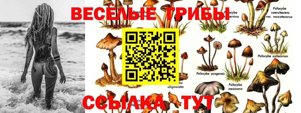 Псилоцибиновые грибы Magic Shrooms  Вход с VPN  Солнечногорск 