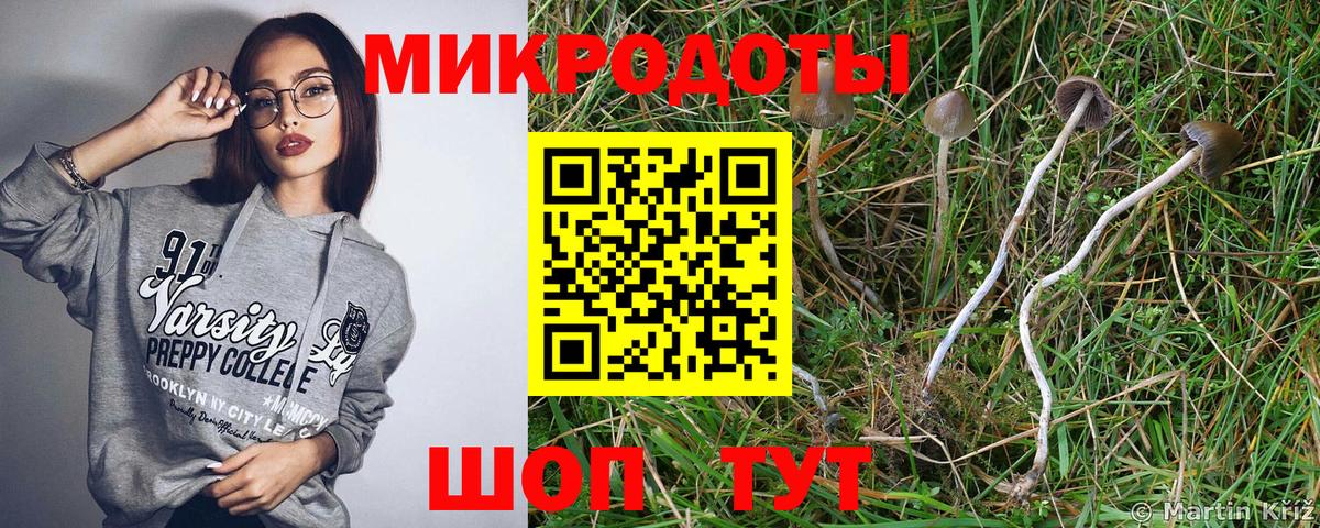 Галлюциногенные грибы Cubensis Солнечногорск